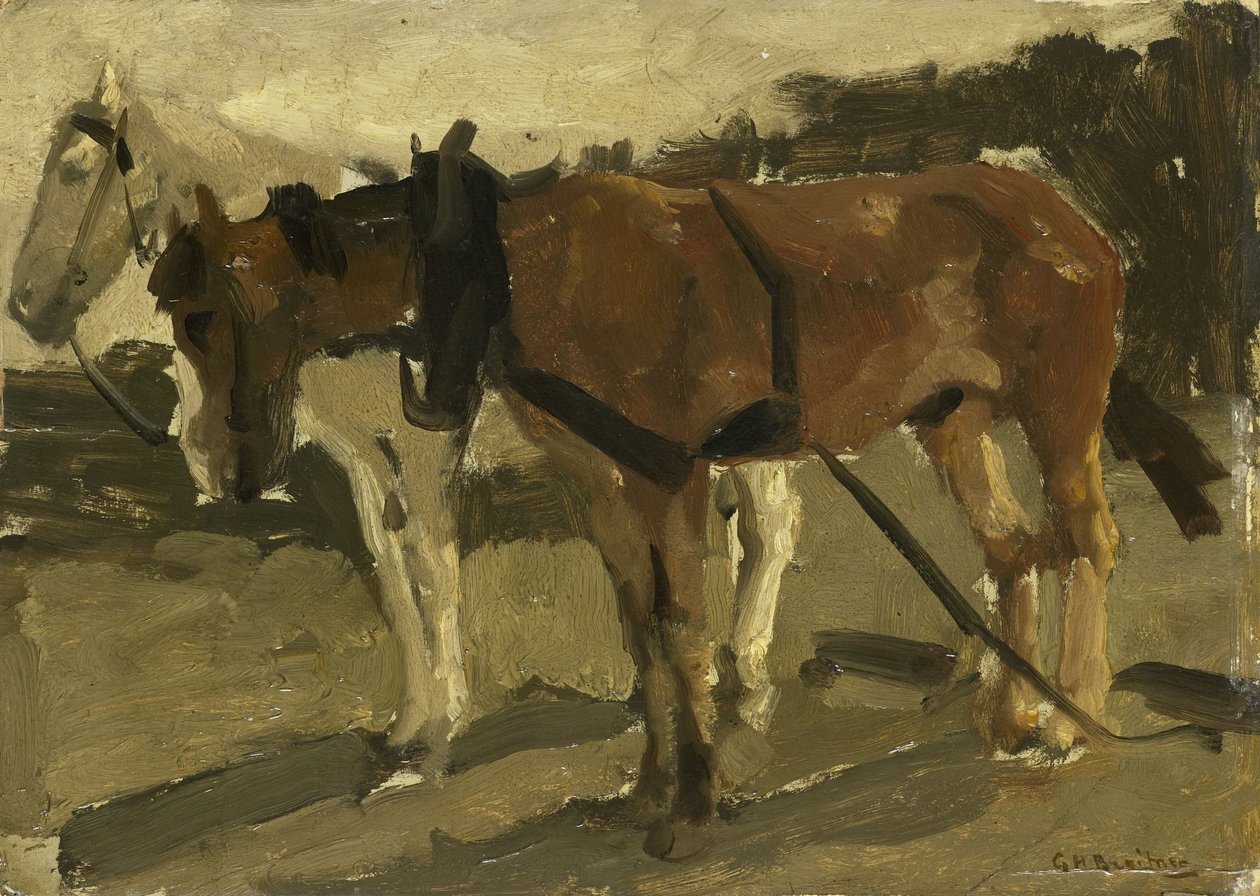 Brązowy i biały koń w Scheveningen autorstwa George Hendrik Breitner
