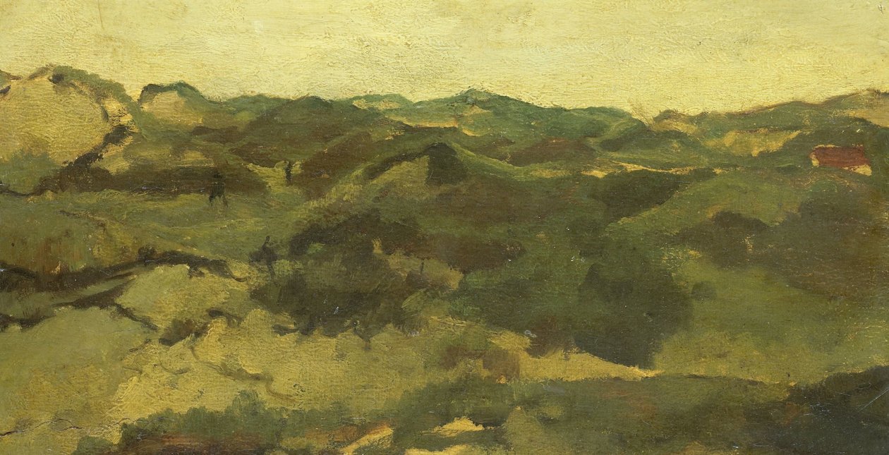 Krajobraz wrzosowisk, prawdopodobnie w Drenthe autorstwa George Hendrik Breitner