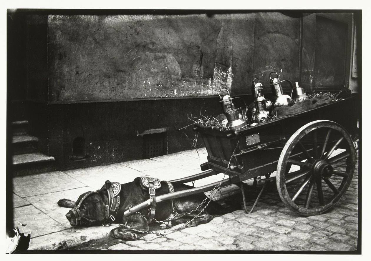 Ciągnięcie psa wyciągniętego przed wóz z autobusami autorstwa George Hendrik Breitner