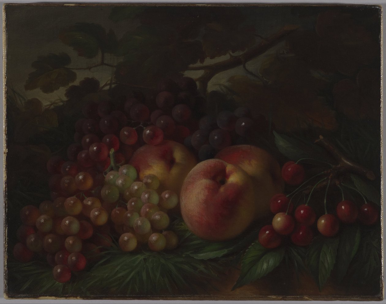 Brzoskwinie, Winogrona i Wiśnie, ok. 1860-1870 autorstwa George Henry Hall
