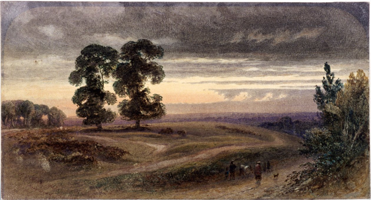 Ogólny widok Hampstead, Londyn, 1849 autorstwa George Henry Hine