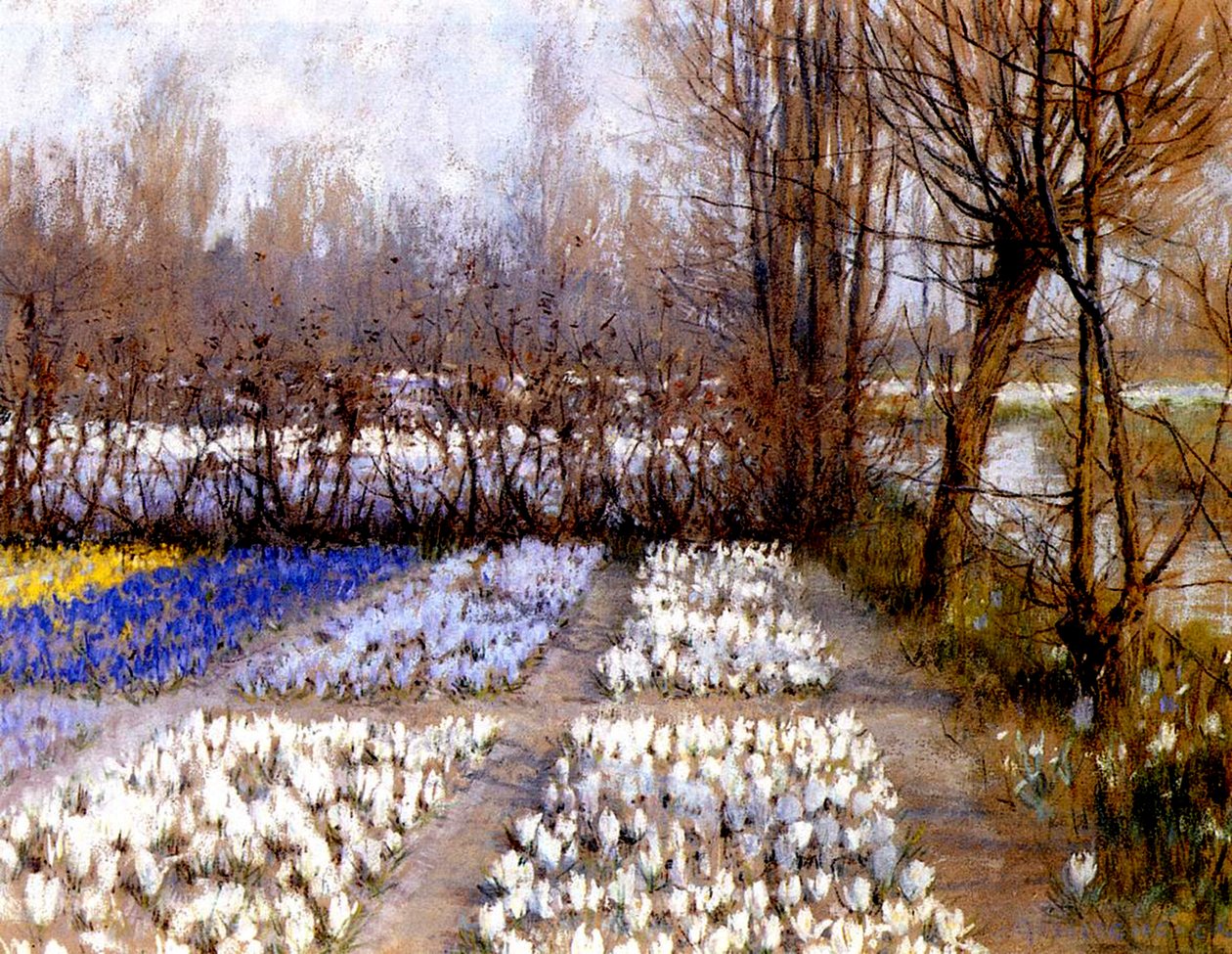 Pole krokusów wiosną, ok. 1889 (pastel na papierze) autorstwa George Hitchcock