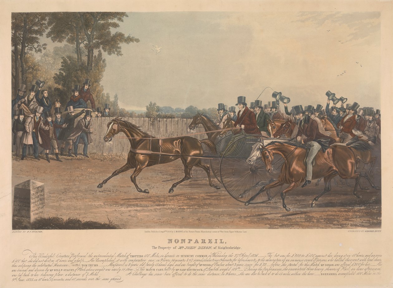 „ Nonpareil ” / Własność pana Johna Dixona z Knightsbridge / To cudowne stworzenie przeprowadziło bezprecedensowy pojedynek, kłusując 100 mil w uprzęży na Sunbury Common, w środę 27 kwietnia 1836 r. ... autorstwa George Hunt