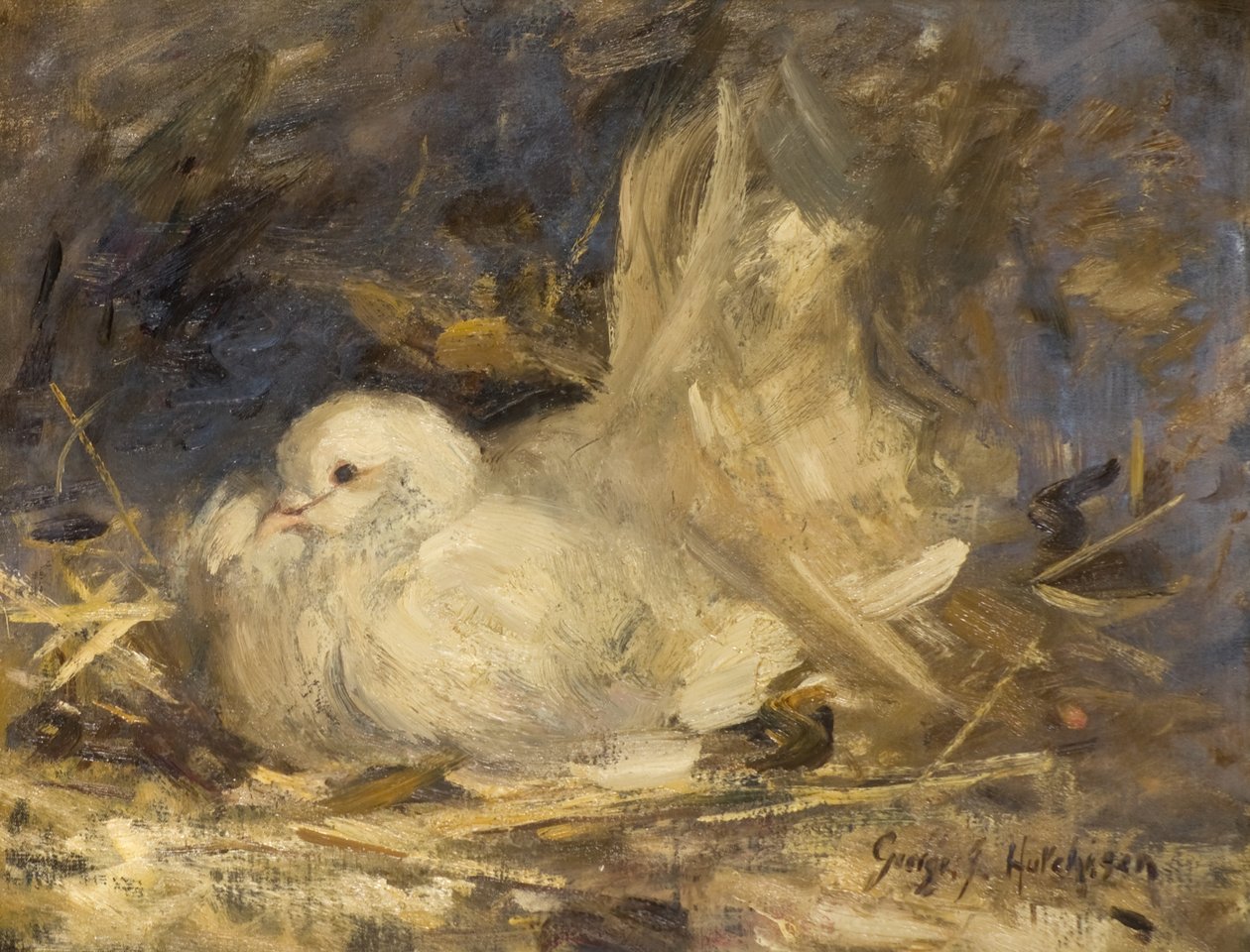 Ponury gołąb autorstwa George Jackson Hutchison