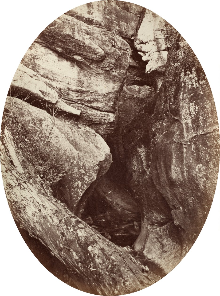 Wodospad w pobliżu Williams College, ok. godz. 1870. autorstwa George K Warren