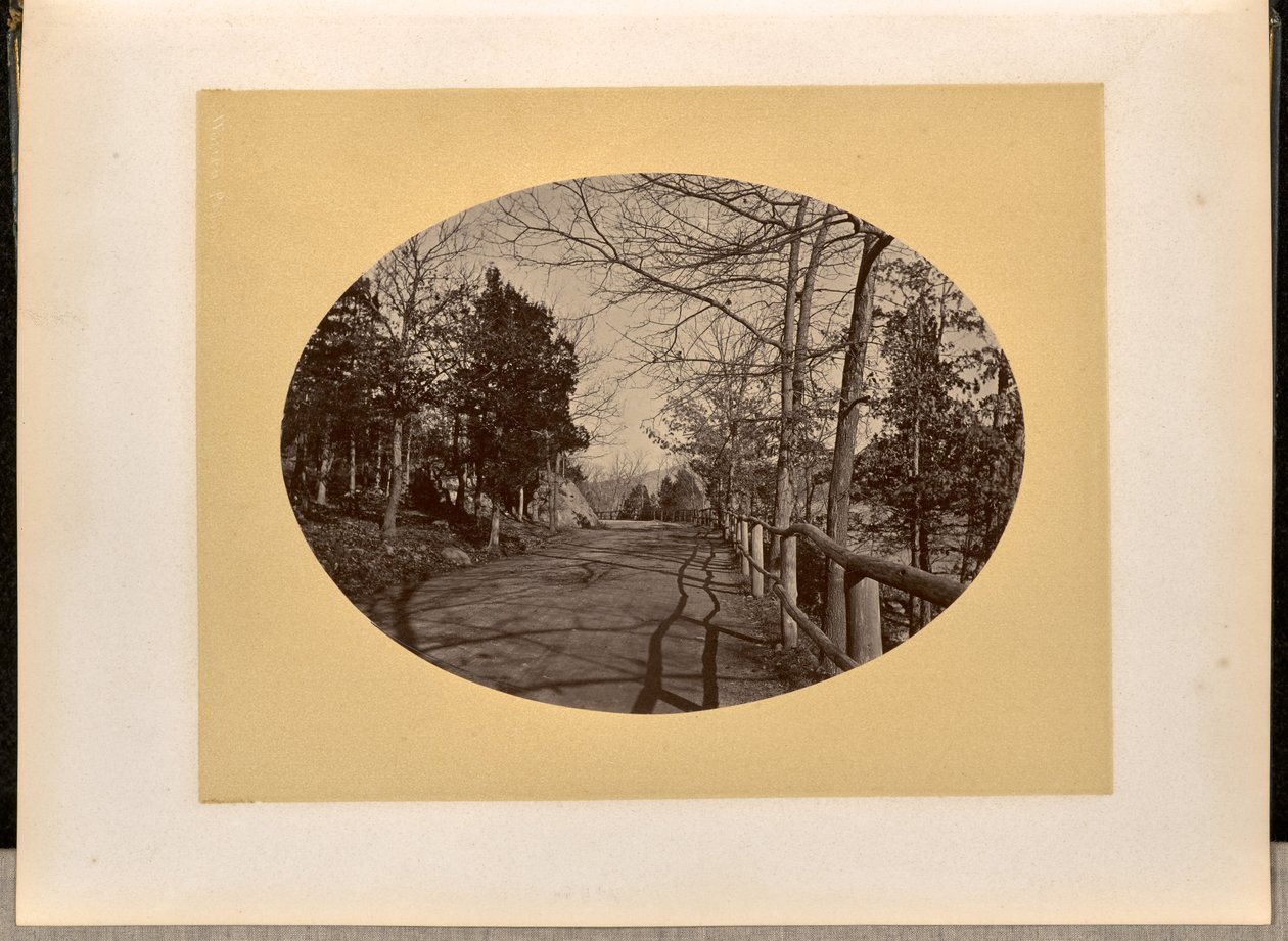 [Straße, West Point] autorstwa George Kendall Warren