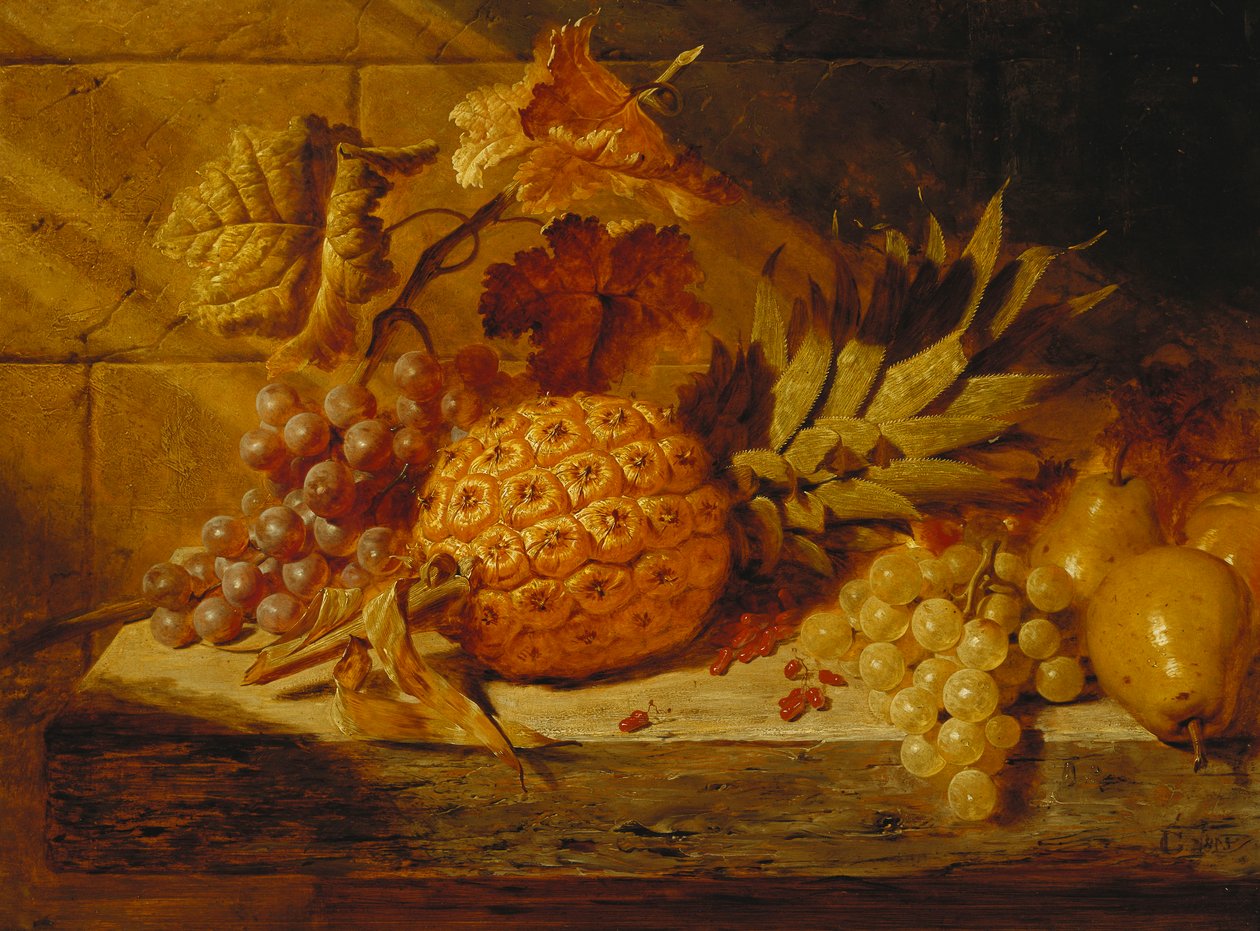 Czarno-białe winogrona, gruszki, czerwone porzeczki i ananas na półce, 1845 autorstwa George Lance