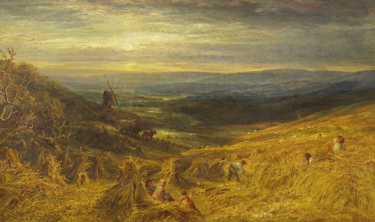 Surrey Cornfield, c.1877 (olej na płótnie) autorstwa George Lucas