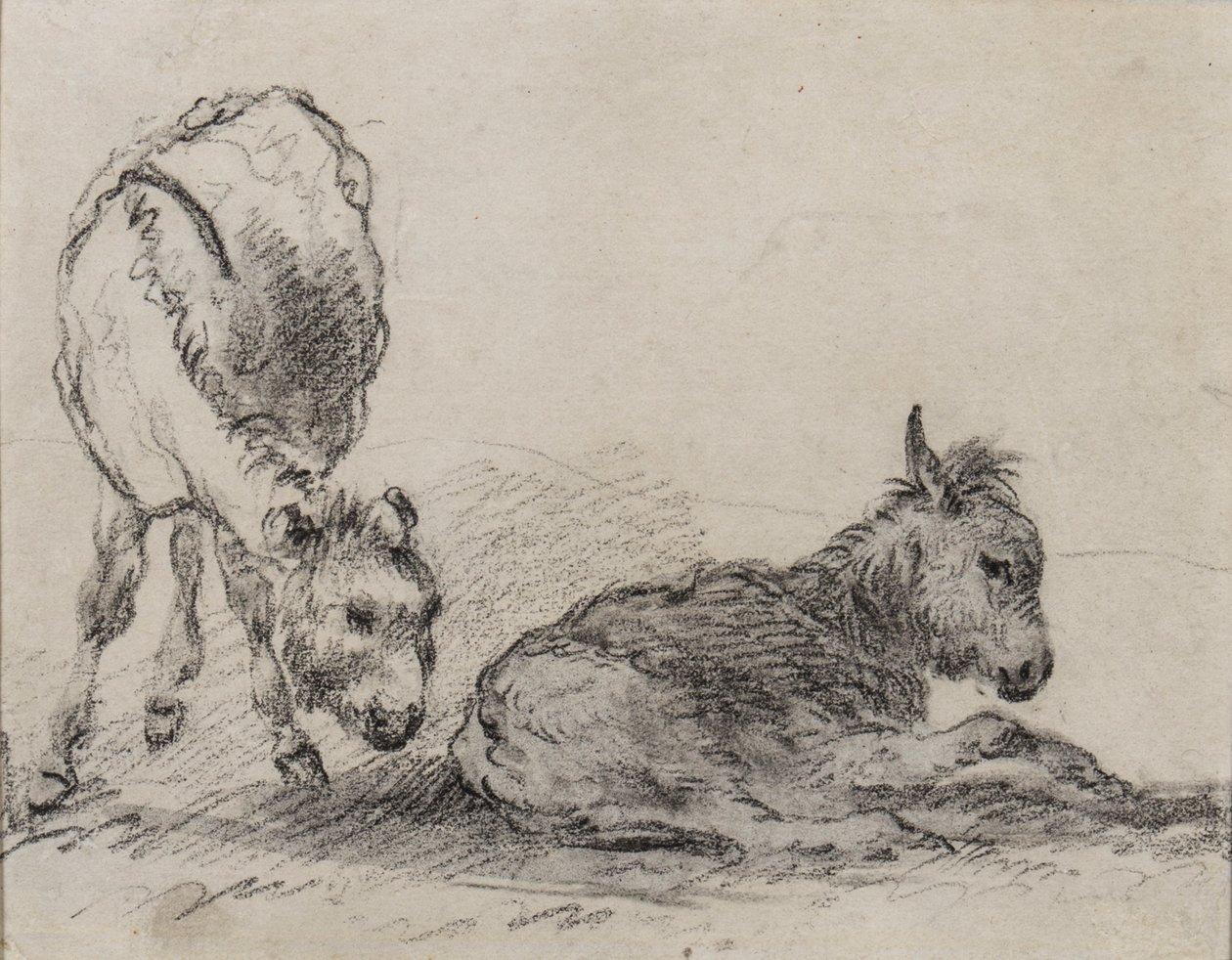 Źrebięta osioł (węgiel na papierze) autorstwa George Morland