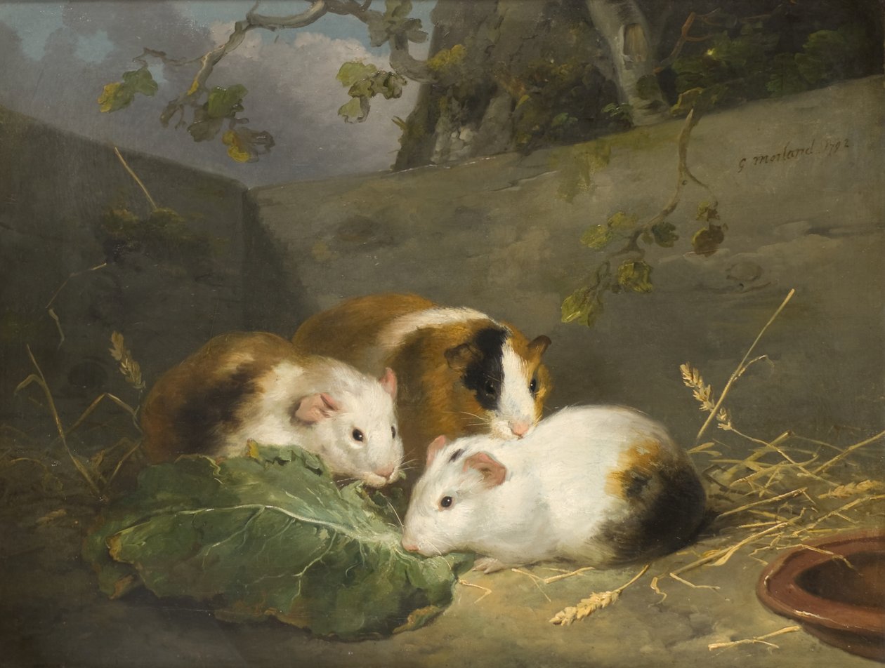 Świnki morskie autorstwa George Morland