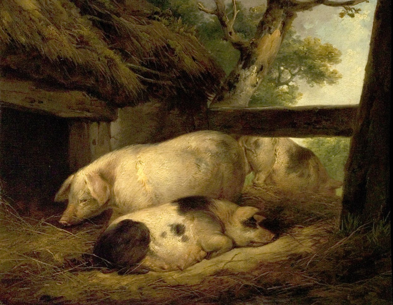 Badanie świń autorstwa George Morland