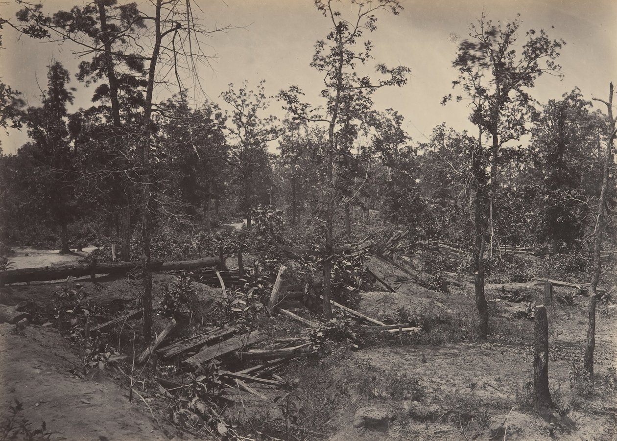 Pole Bitwy pod Atlantą, Georgia, 22 lipca 1864 nr 1, lata 60. XIX wieku. autorstwa George N. Barnard