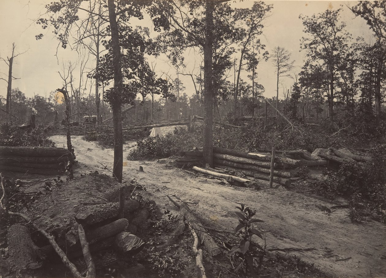 Pole bitwy kościoła New Hope, Georgia nr 1, 1860. autorstwa George N. Barnard