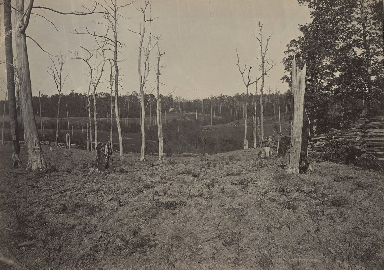 Pole bitwy pod Resacca, Georgia nr 1, 1860. autorstwa George N. Barnard