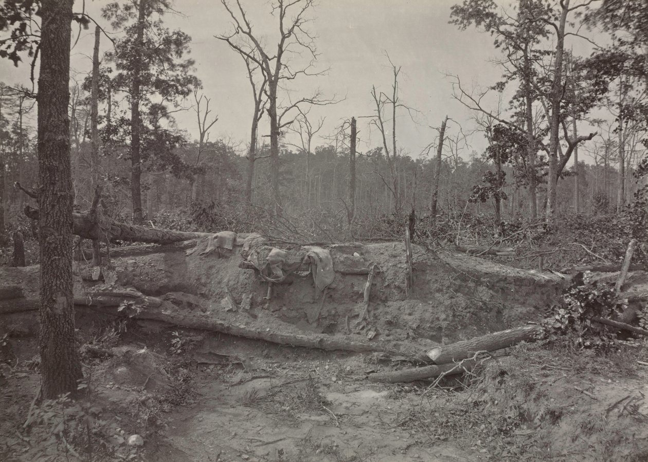 Pole bitwy pod kościołem New Hope, Georgia, nr 2, 1865-1866. autorstwa George N. Barnard