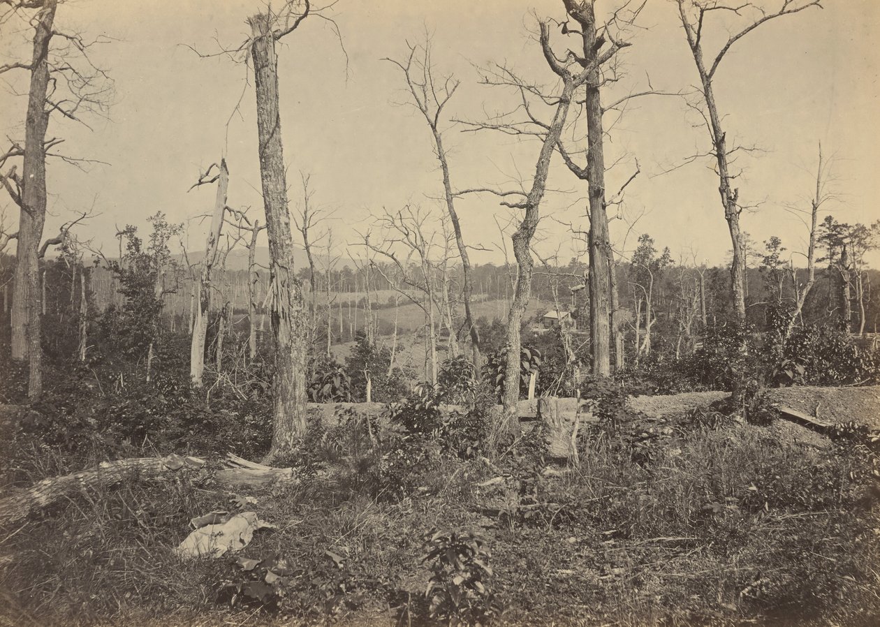 Pole bitwy pod Resaca, Georgia, nr 3,1864 (zdjęcie) autorstwa George N. Barnard