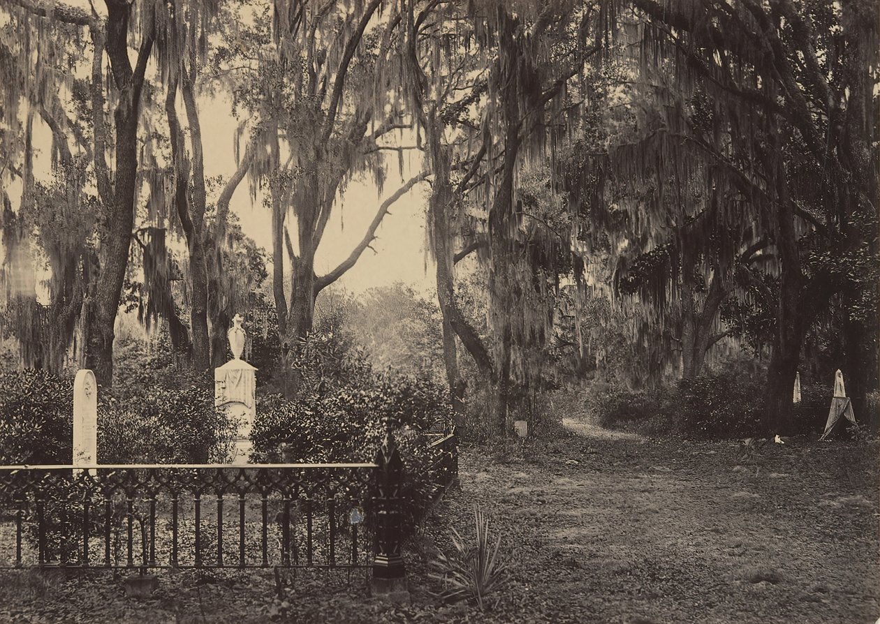 Bonawentura, Savannah, Georgia, lata 60. XIX wieku. autorstwa George N. Barnard
