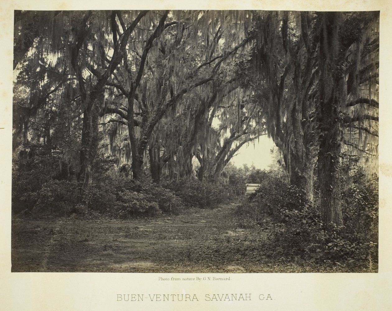 Buen-Ventura Savannah, Ga. autorstwa George N. Barnard
