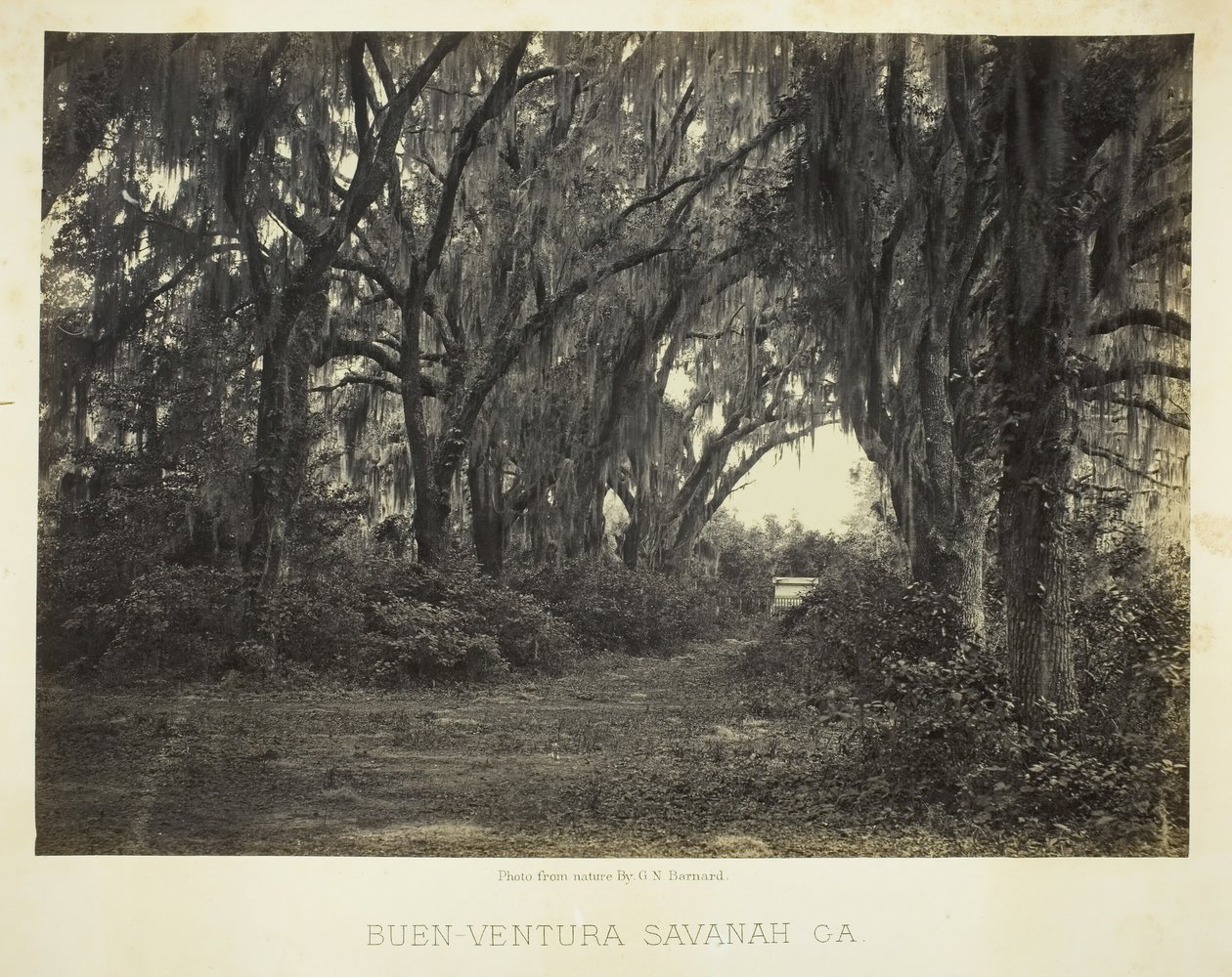 Buen-Ventura Savannah, Georgia, 1866. autorstwa George N. Barnard