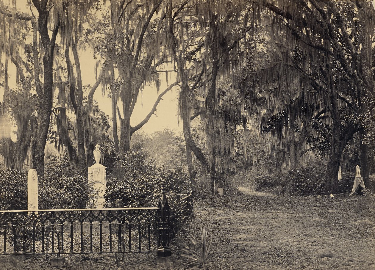 [Buen-Ventura, Savannah, Georgia] autorstwa George N. Barnard