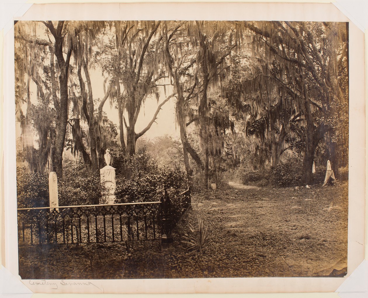 Buen-Ventura, Savannah, Georgia autorstwa George N. Barnard