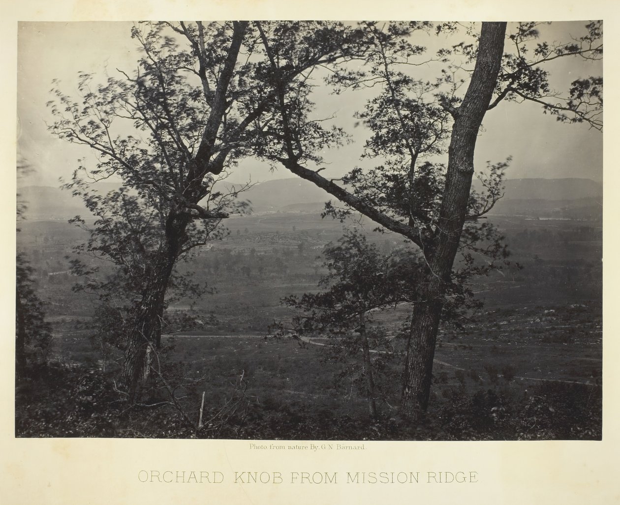 Orchard Gałka z Mission Ridge, 186466. autorstwa George N. Barnard