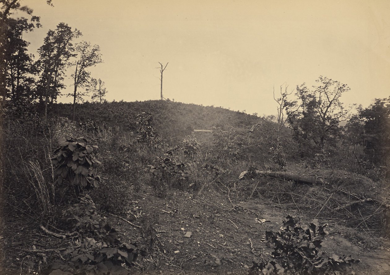 Pine Mountain autorstwa George N. Barnard