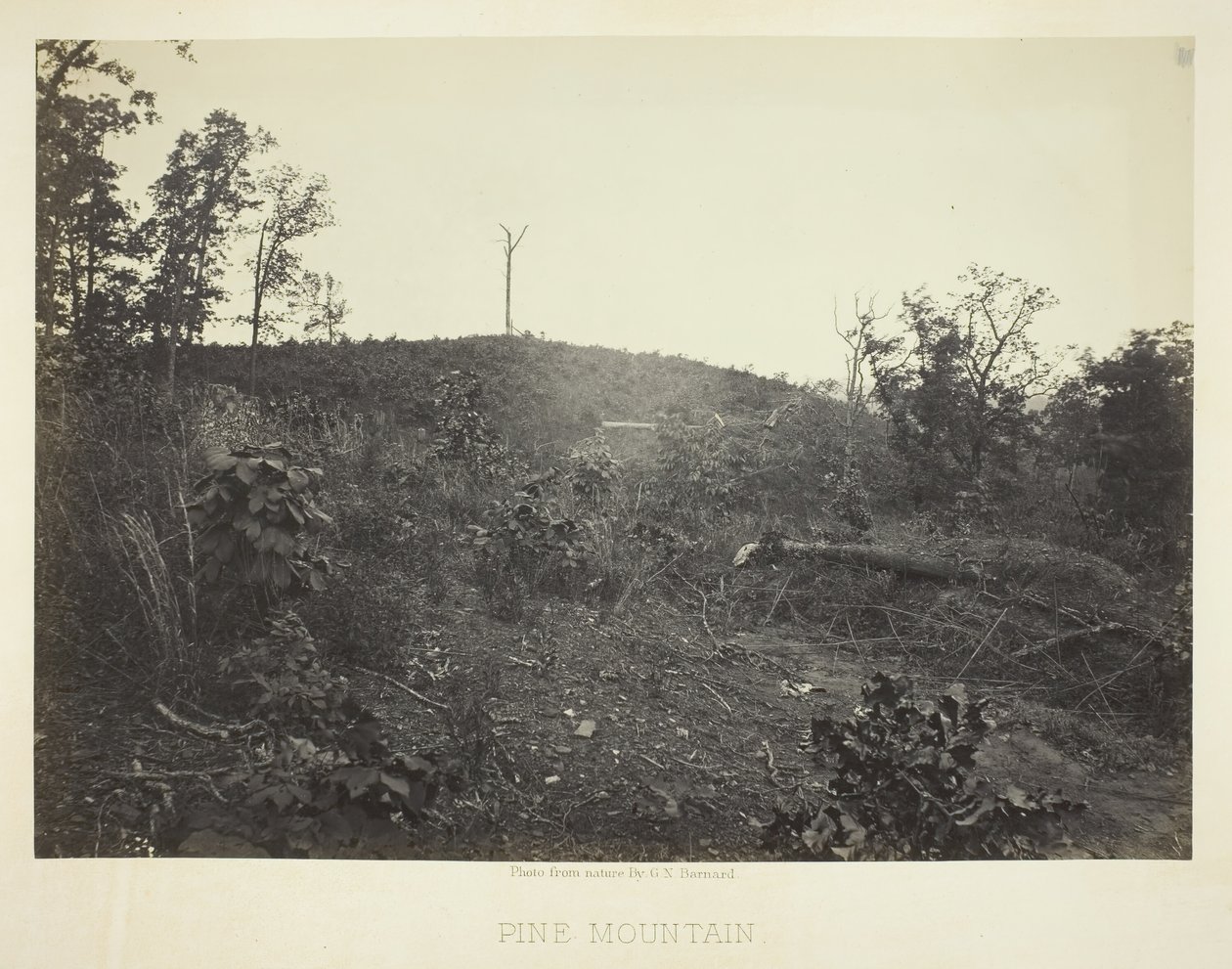 Sosnowa Góra, 1866. autorstwa George N. Barnard