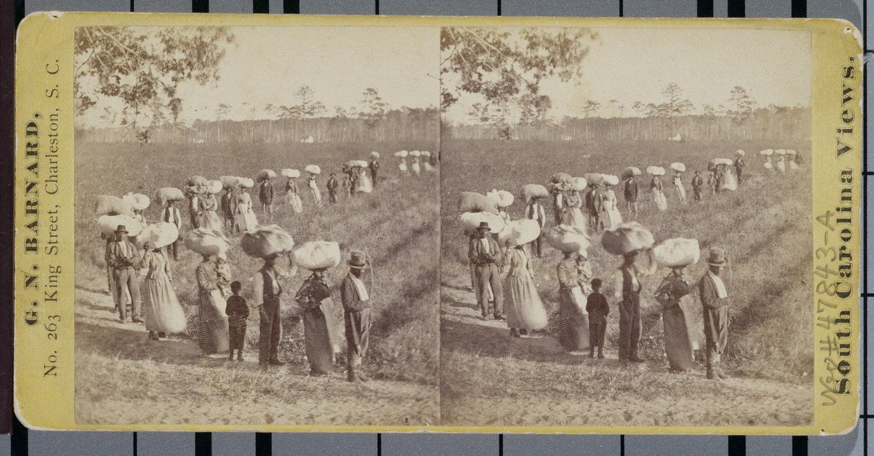 Powrót z pól bawełnianych w Karolinie Południowej (zdjęcie stereograficzne) autorstwa George N. Barnard