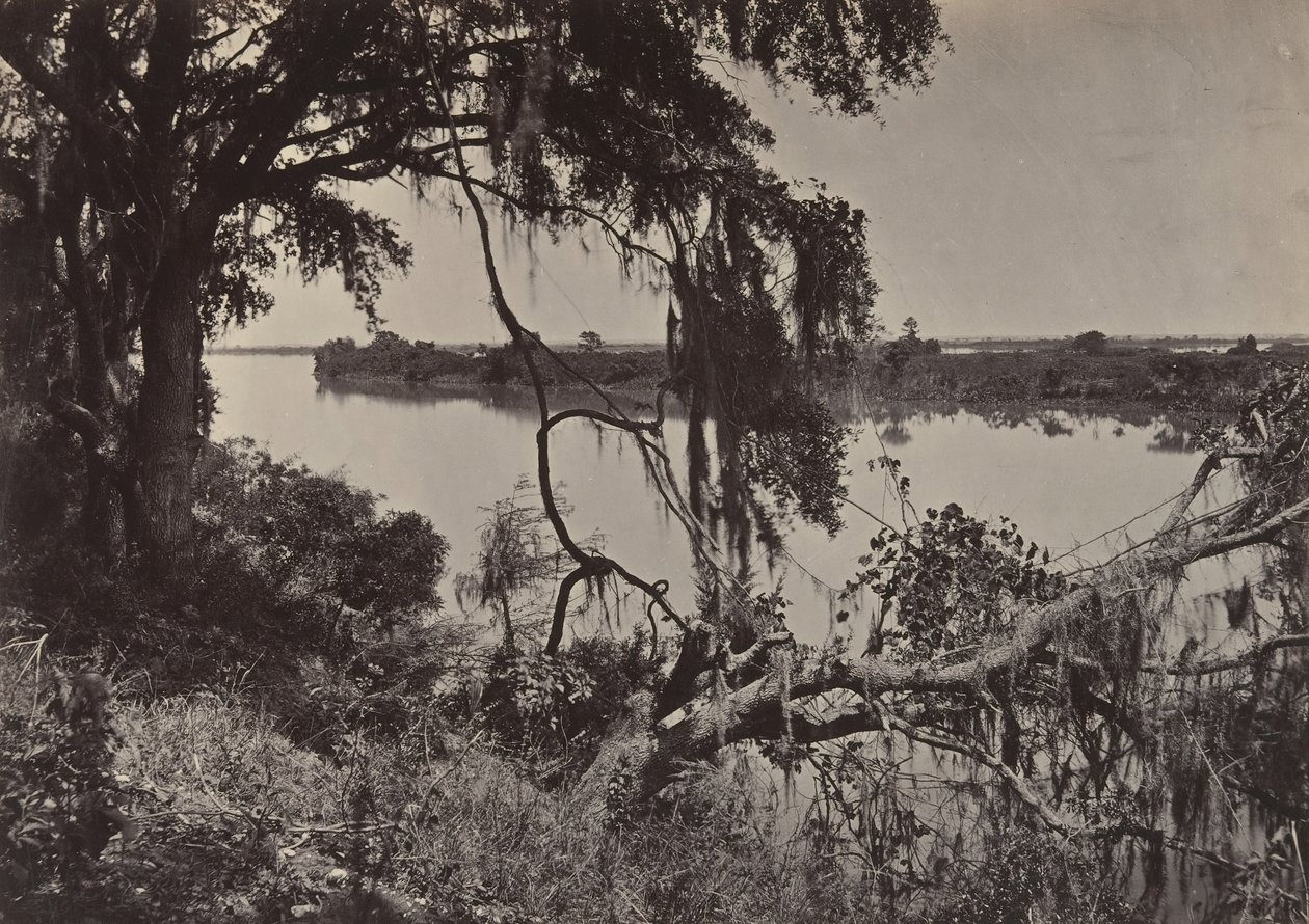 Rzeka Savannah, w pobliżu Savannah, Georgia, lata 60. XIX wieku. autorstwa George N. Barnard
