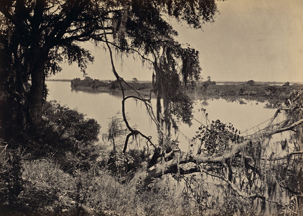 [Rzeka Savannah, w pobliżu Savannah, Georgia] autorstwa George N. Barnard