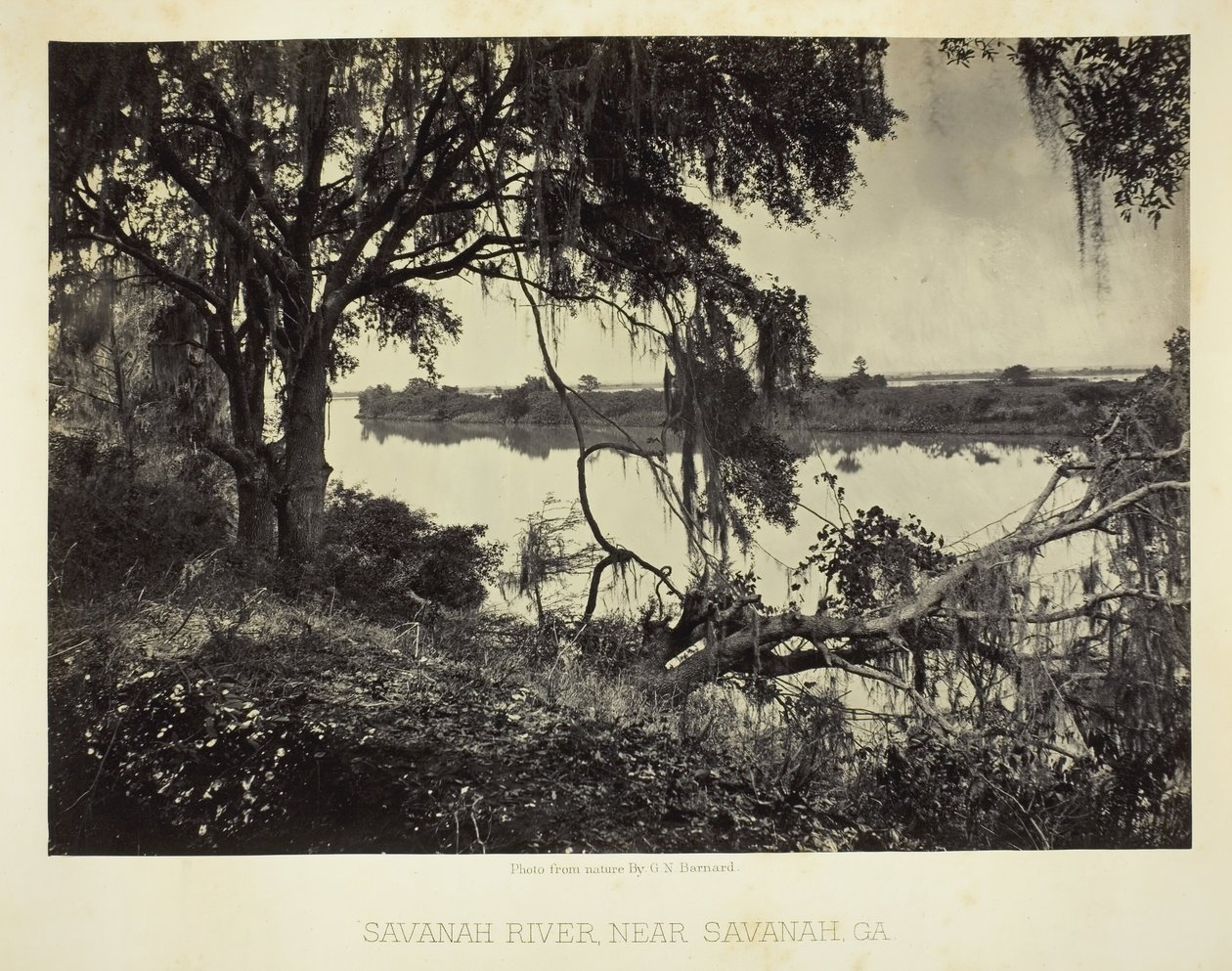 Rzeka Savannah, niedaleko Savannah, GA, 1866. autorstwa George N. Barnard