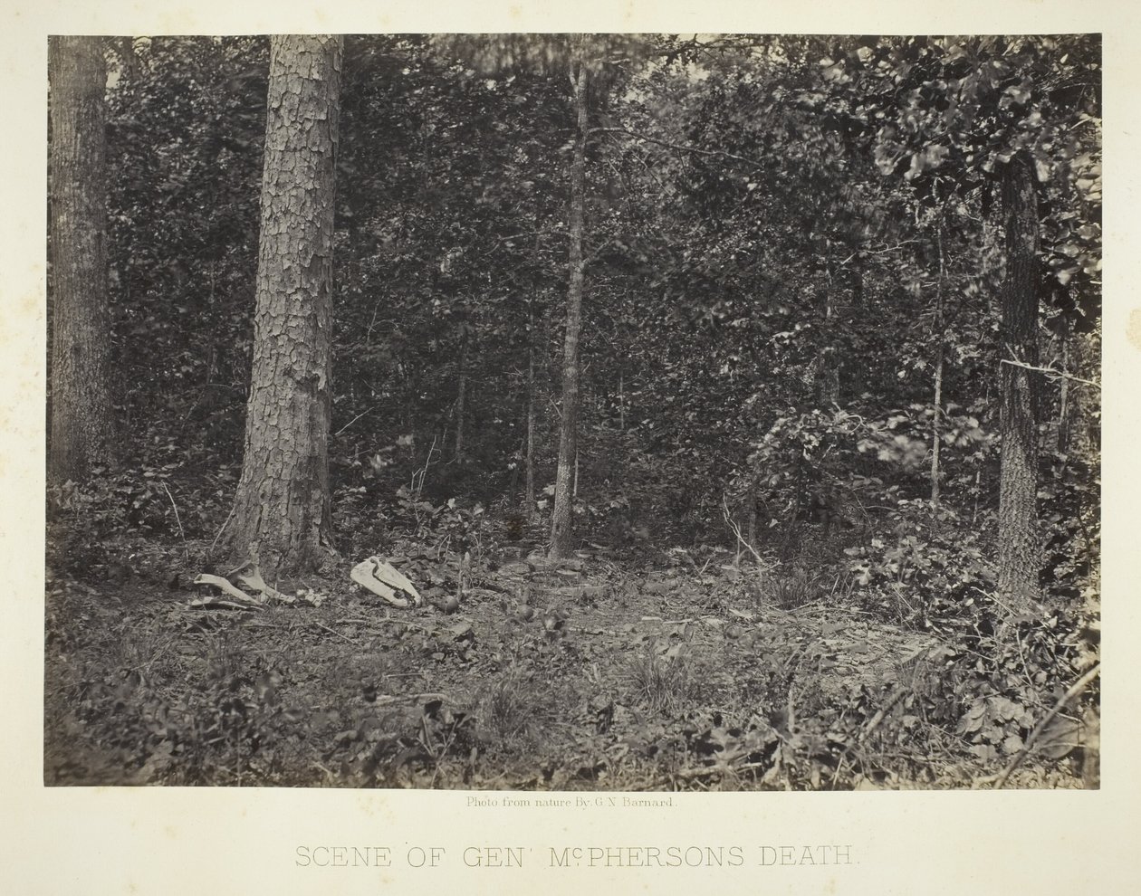 Miejsce śmierci gen. McPhersona autorstwa George N. Barnard