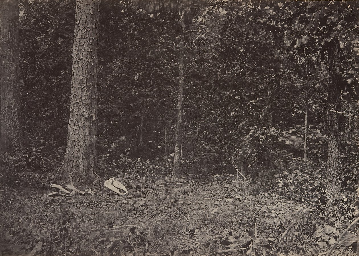 Scena śmierci generała McPhersona, 1864 lub 1866. autorstwa George N. Barnard