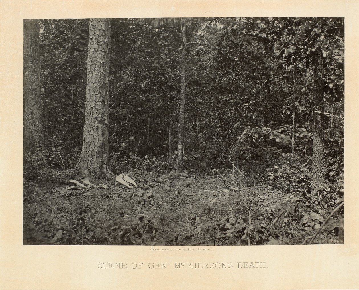 Scena śmierci generała McPhersona, Georgia, z fotograficznych widoków kampanii Shermana autorstwa George N. Barnard