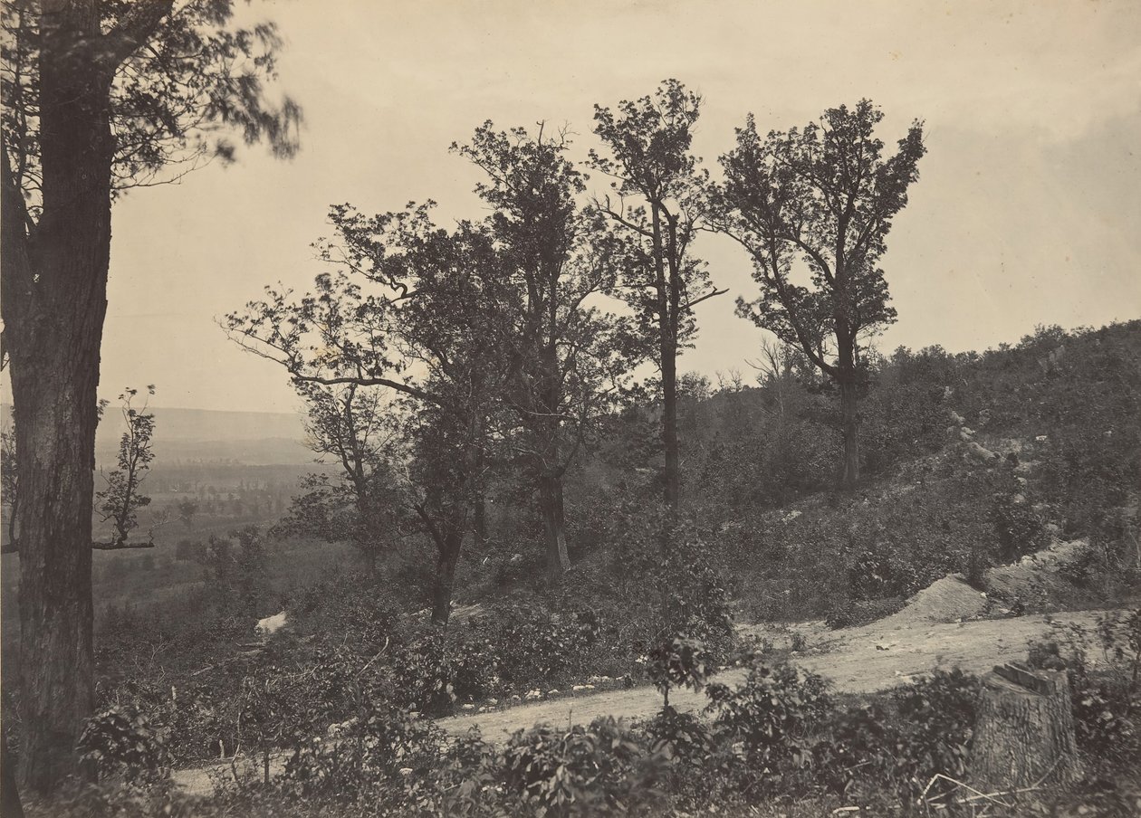 Herb Mission Ridge, 1860. autorstwa George N. Barnard