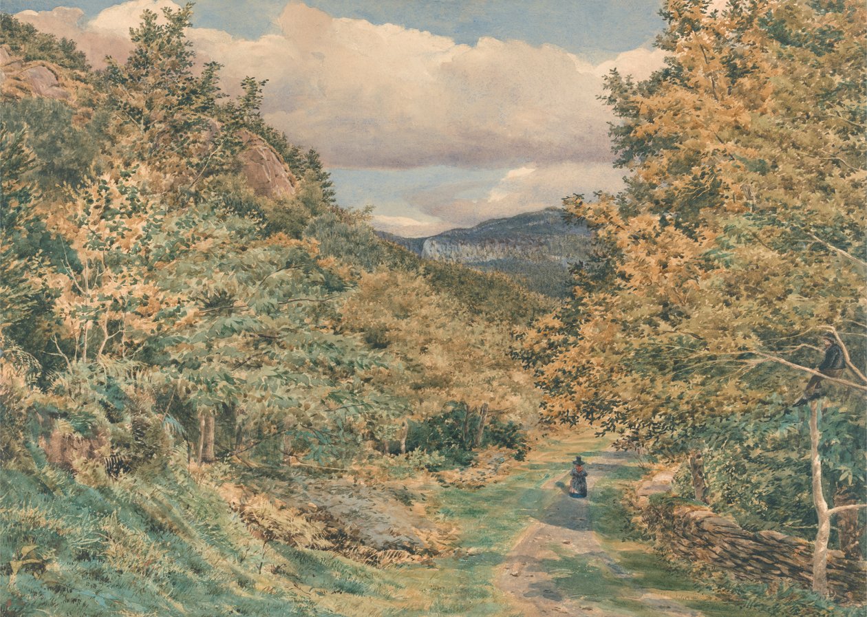 Droga w pobliżu Bettws-y-Coed autorstwa George Price Boyce