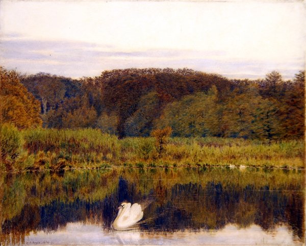 Abinger Mill Pond, Surrey- Poranek późną jesienią (akwarela na papierze) autorstwa George Price Boyce