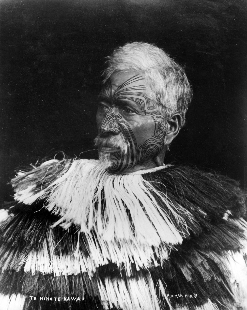 Synod kormoranów, ok. 1860-71 autorstwa George Pulman