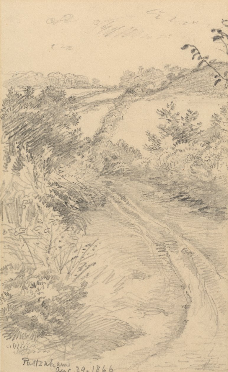 Krzaczasta ulica z polem poza nią autorstwa George Richmond
