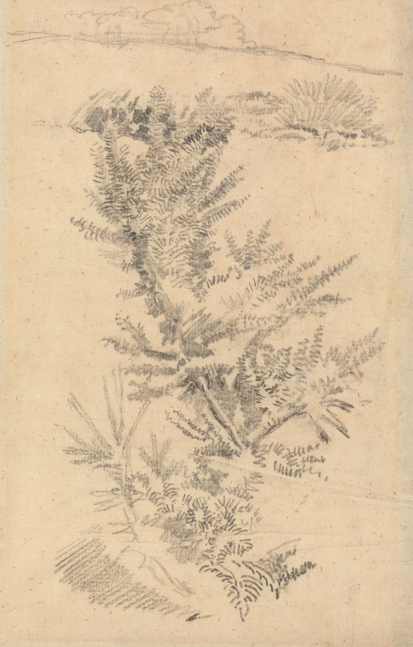 Studium drzew itp. Na łące autorstwa George Richmond