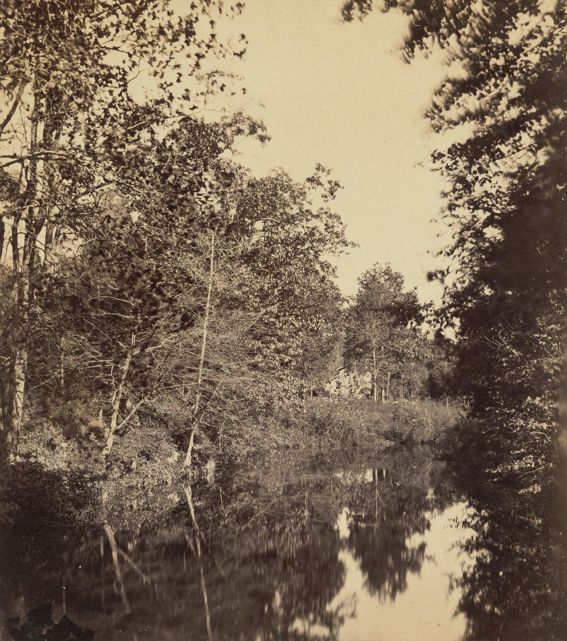 The Dell, 1863 (zdjęcie) autorstwa George Rockwood Gardner