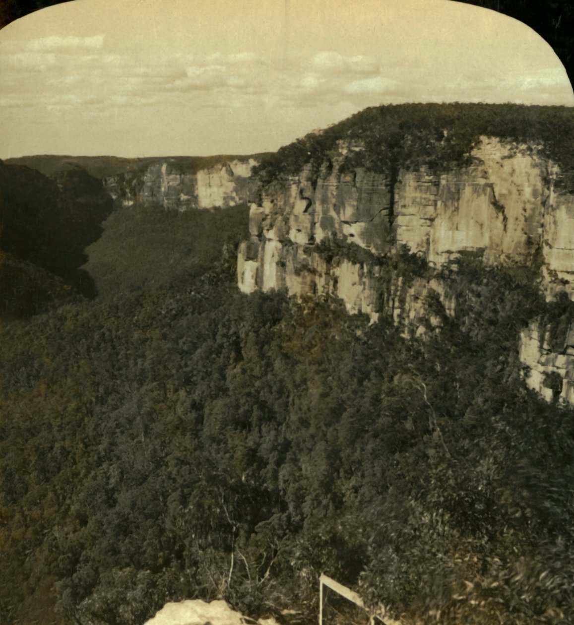 Dolina Grose, Góry Błękitne, NSW, Australia, 1909. autorstwa George Rose