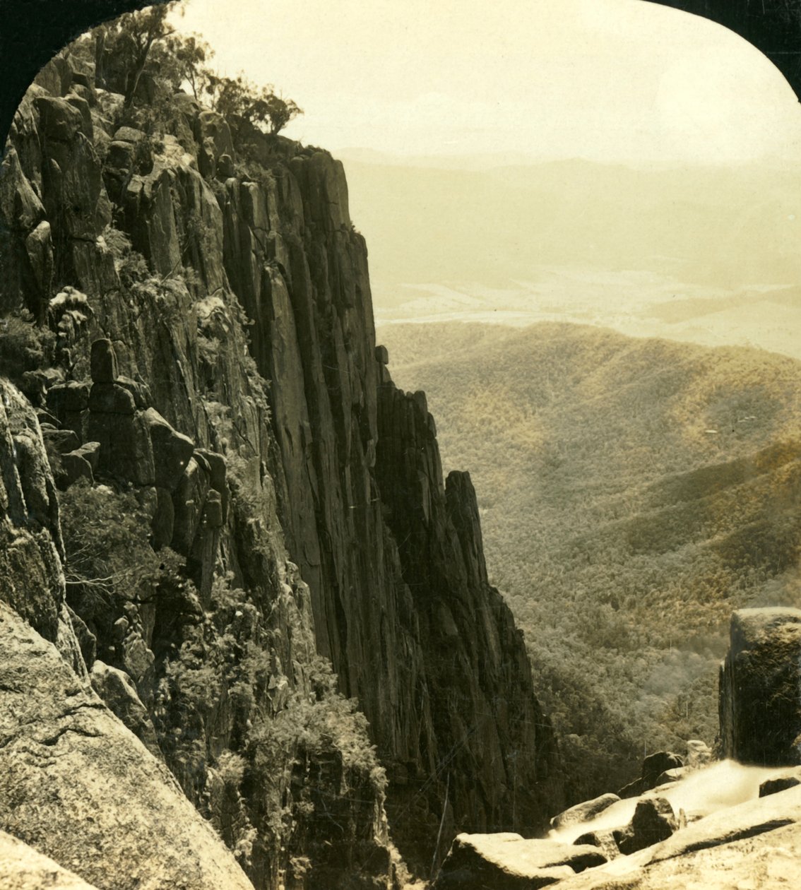 Północna strona wąwozu, Buffalo Ranges, Victoria, Australia, c1909. autorstwa George Rose