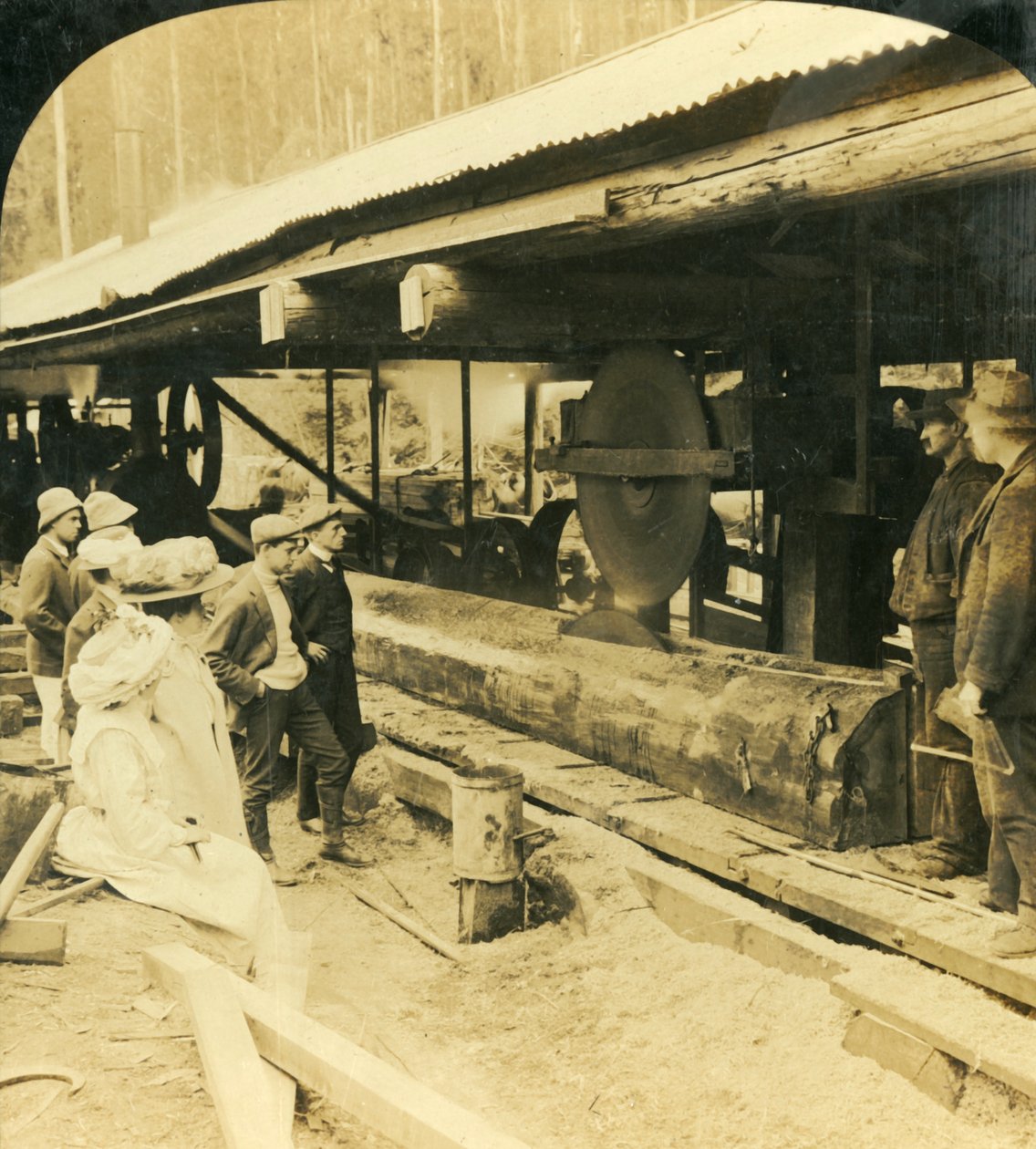 Przemysł drzewny, Warburton, Victoria, Australia, 1909. autorstwa George Rose