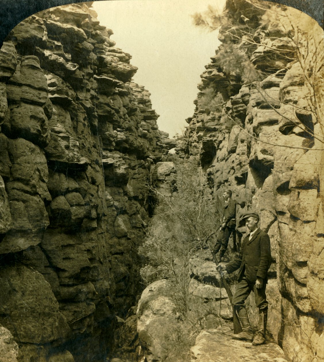 Wonderland Avenue lub Silent Street, Grampians, Victoria, Australia, 1908. autorstwa George Rose