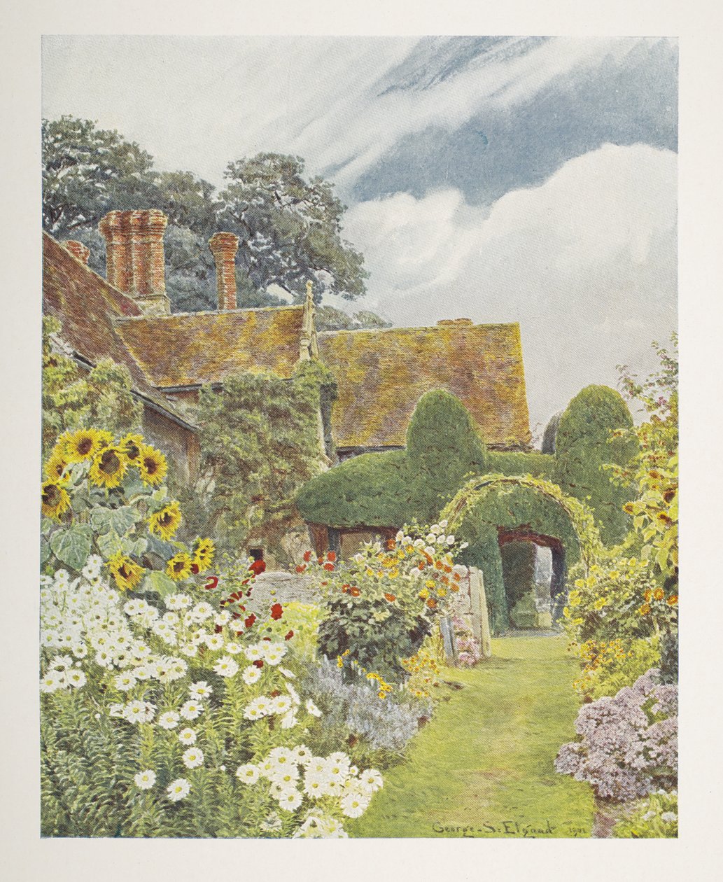 Cleeve Prior, Słoneczniki, ilustracja w „Some English Gardens”, George S. Jekzel Elgood i Gertrude Jekyll autorstwa George Samuel Elgood