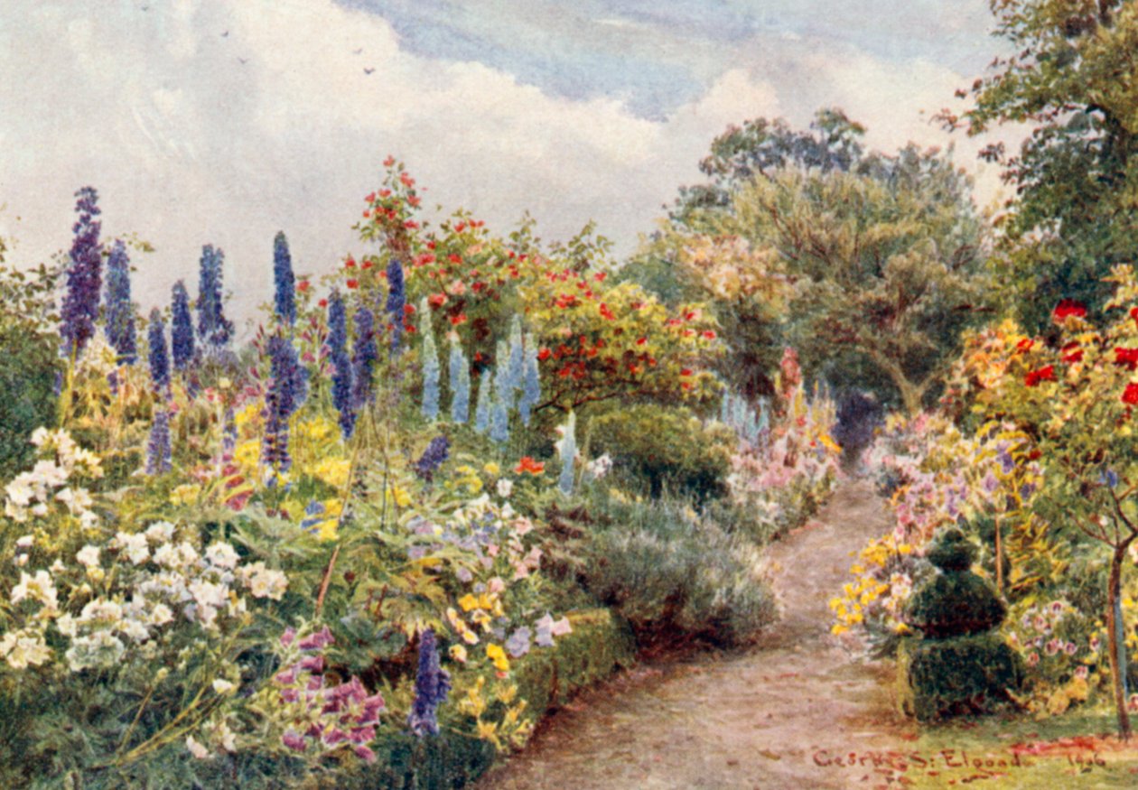 Larkspurs (kolorowa litografia) autorstwa George Samuel Elgood