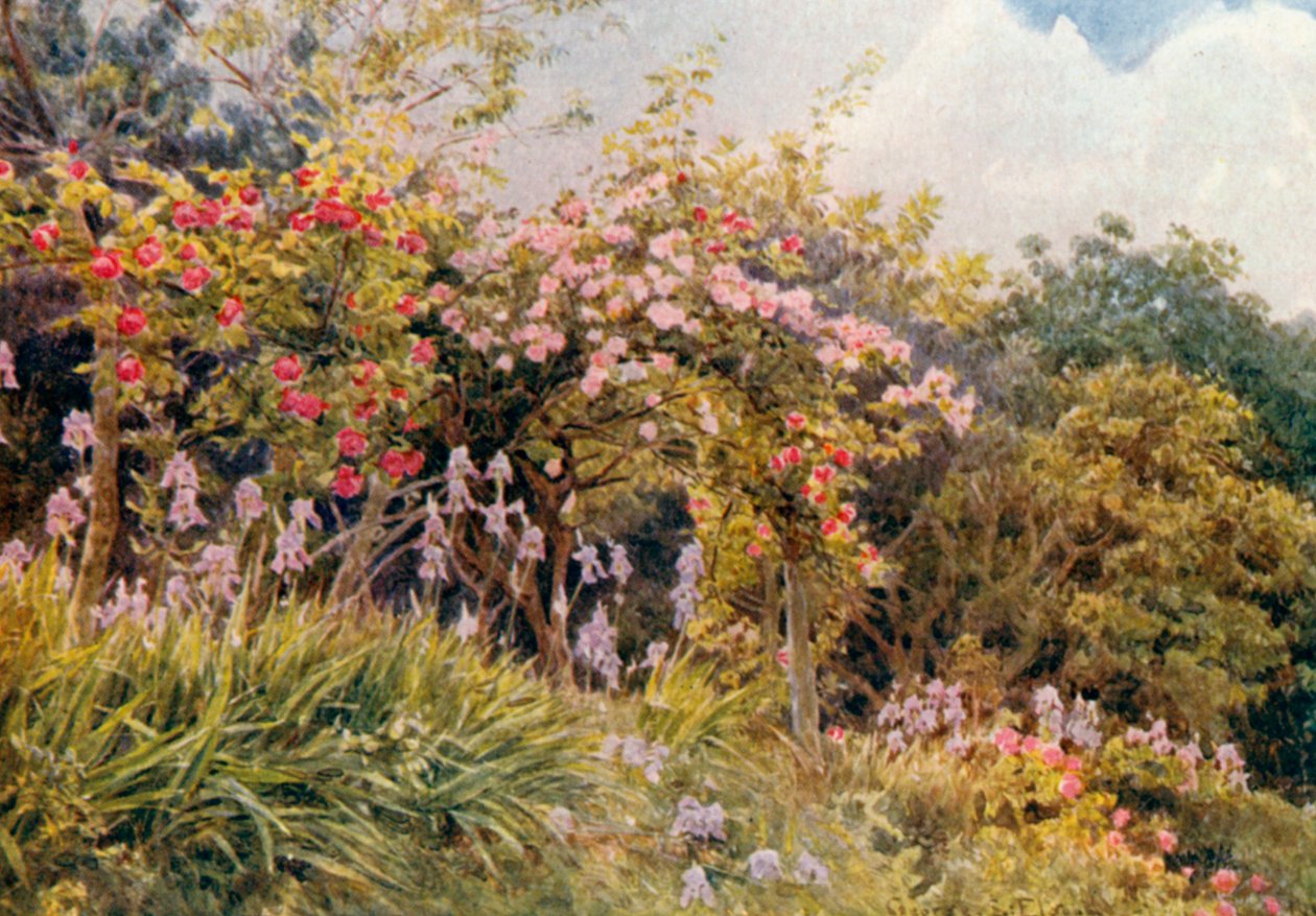 Róże i irysy (litografia kolorowa) autorstwa George Samuel Elgood