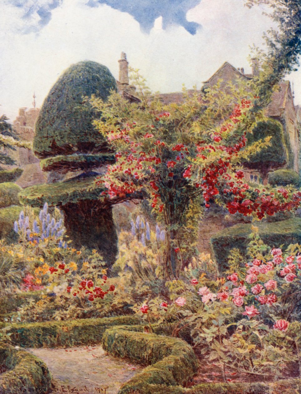 Ogród różany w Levens Hall, Westmoreland (kolorowa litografia) autorstwa George Samuel Elgood